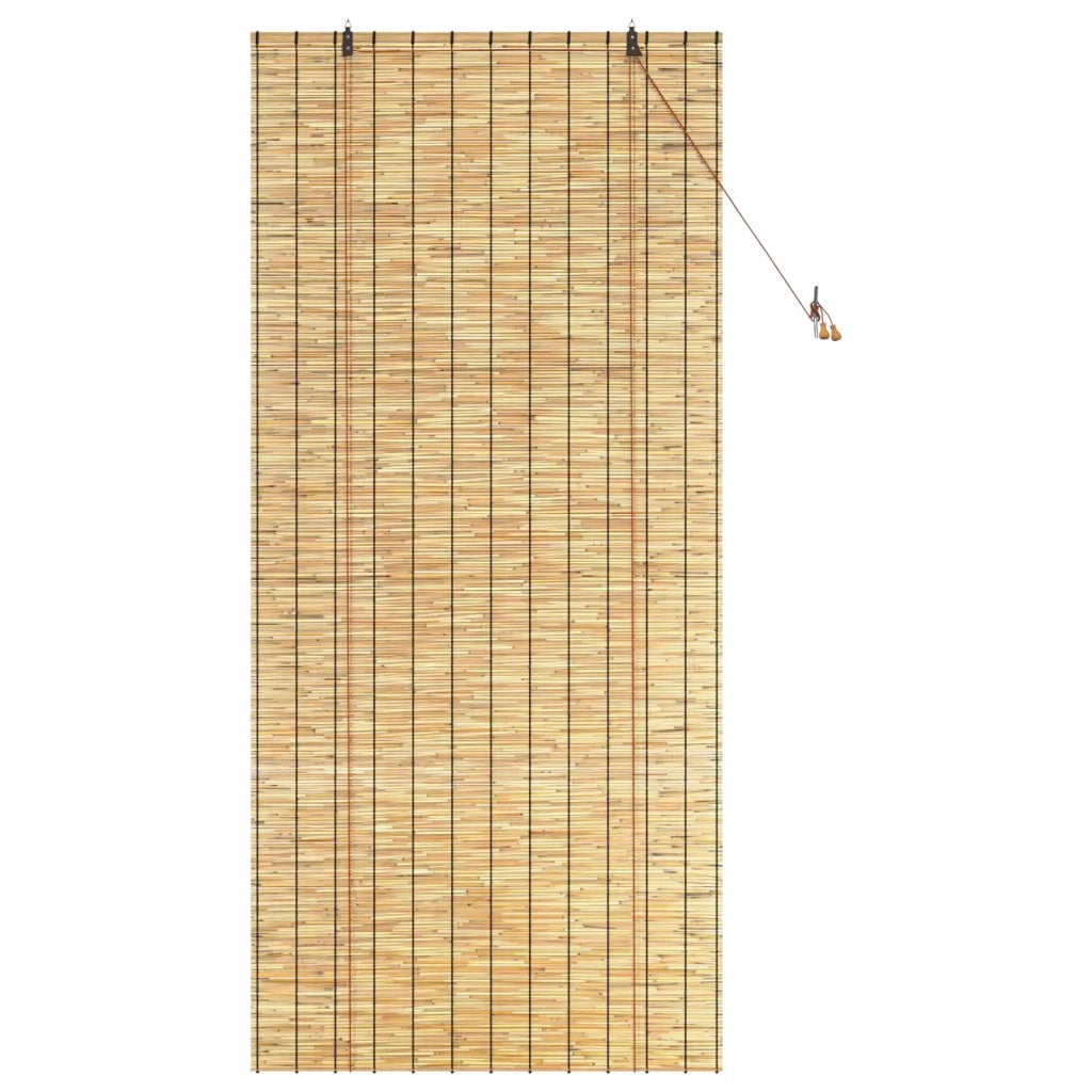 Tenda a rullo Naturale 100 x 220 cm Giunco 42034650