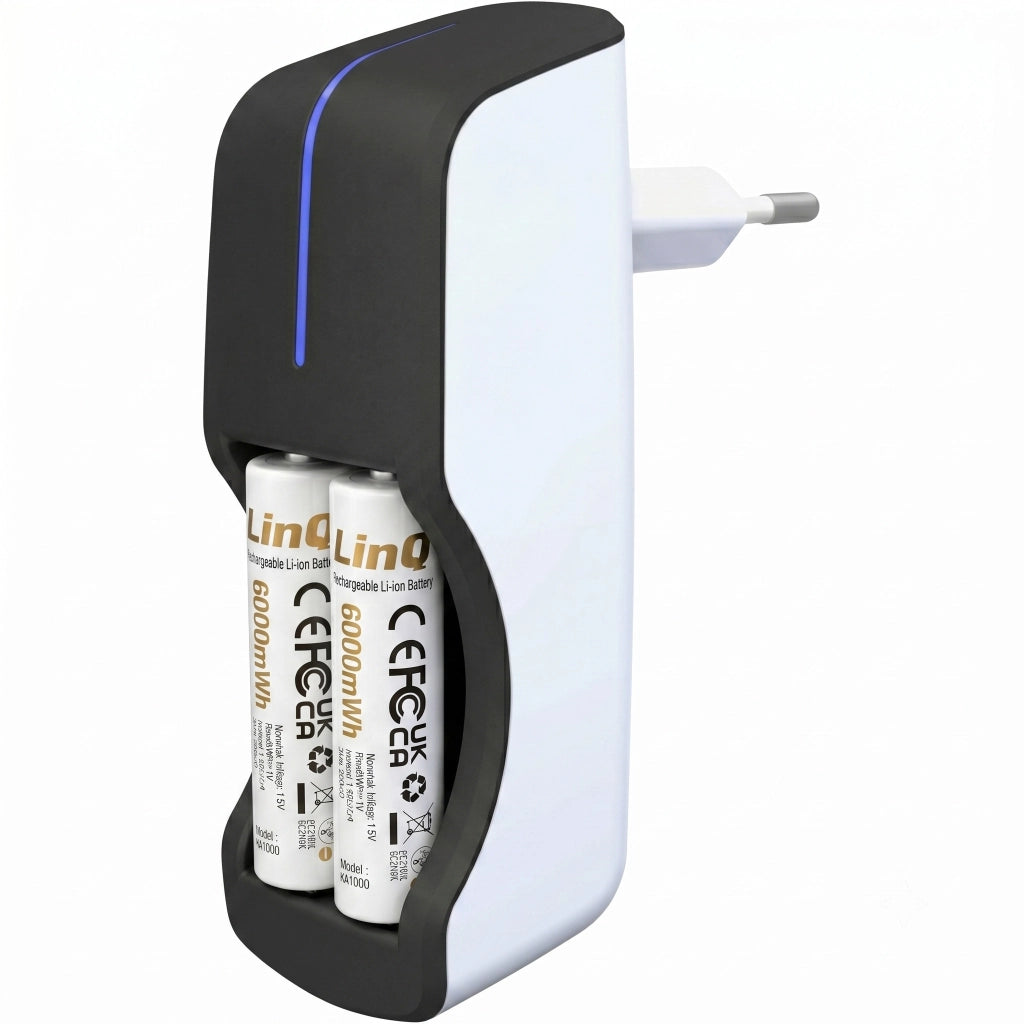 2x Batterie AA Litio 1.5V 6000mWh Ricaricabili USB-C Bianco LinQ