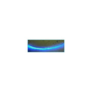 Striscia Strip Led 48cm 48 LED F5 Impermeabile Blue Blu 12V