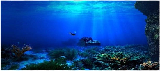 Poster PVC per acquario acqua-tight con fondo adesivo (122 * 46cm) - Decorazione Tema Pianta Acquatica