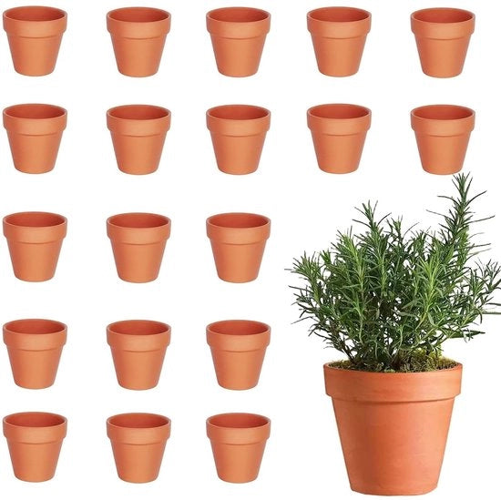 Pacchetto di 20 Mini vasi di terracotta 4,5 x 4 cm con fori di drenaggio - Adatti per piante grasse e semi - Collezioni DIY