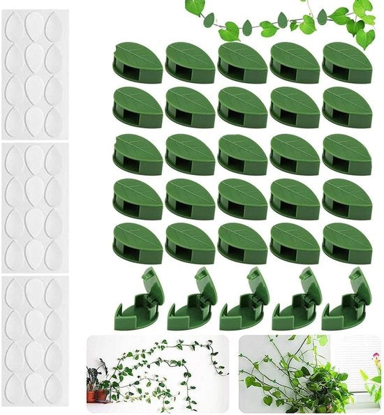 Supporto per piante a parete da 30 | Supporto per piante a forma di foglia per piante rampicanti | Trellis a parete | Collegamento semplice senza attrezzi | Per interni ed esterni