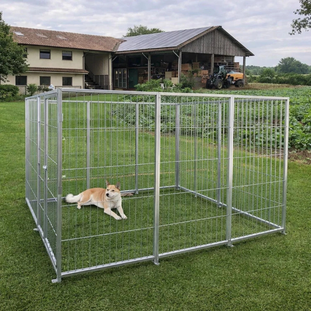Box per cani da esterno zincatura a caldo 300x200x altezza 180 centimetri