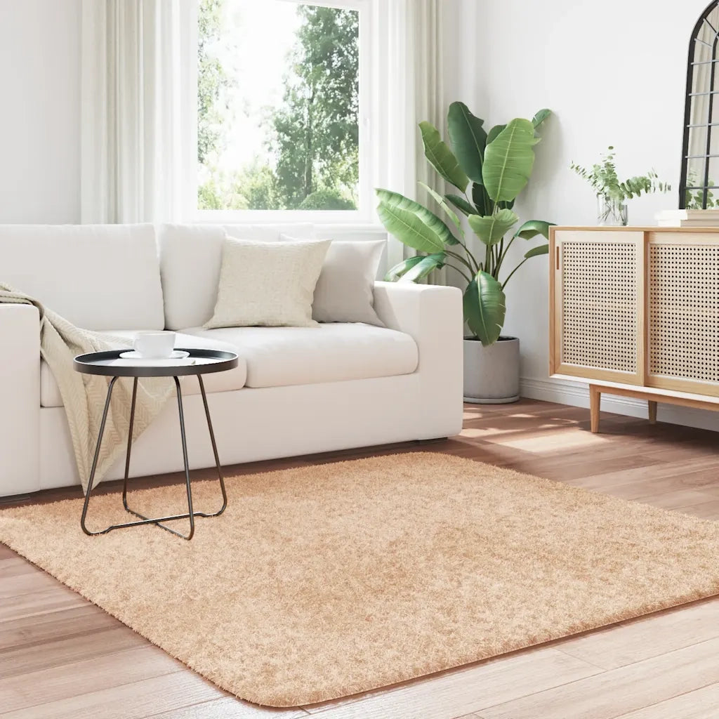 Tappeto del soggiorno | Tappeto Shaggy a Pelo Lungo NAVARRA Beige 160x160 cm poliestere