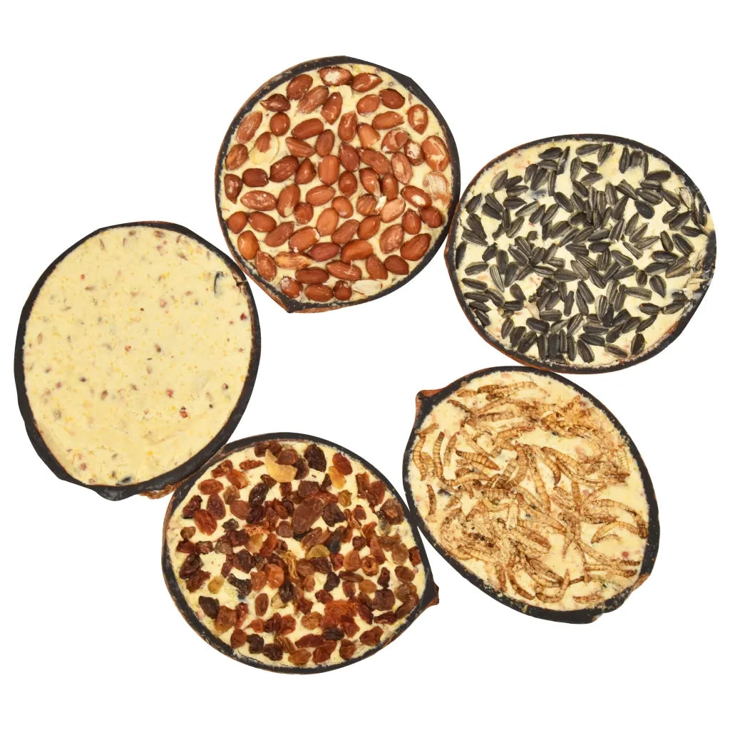 Noci di Cocco Ripiene di Cibo per Uccelli 10 pz 290 g CFW8868760