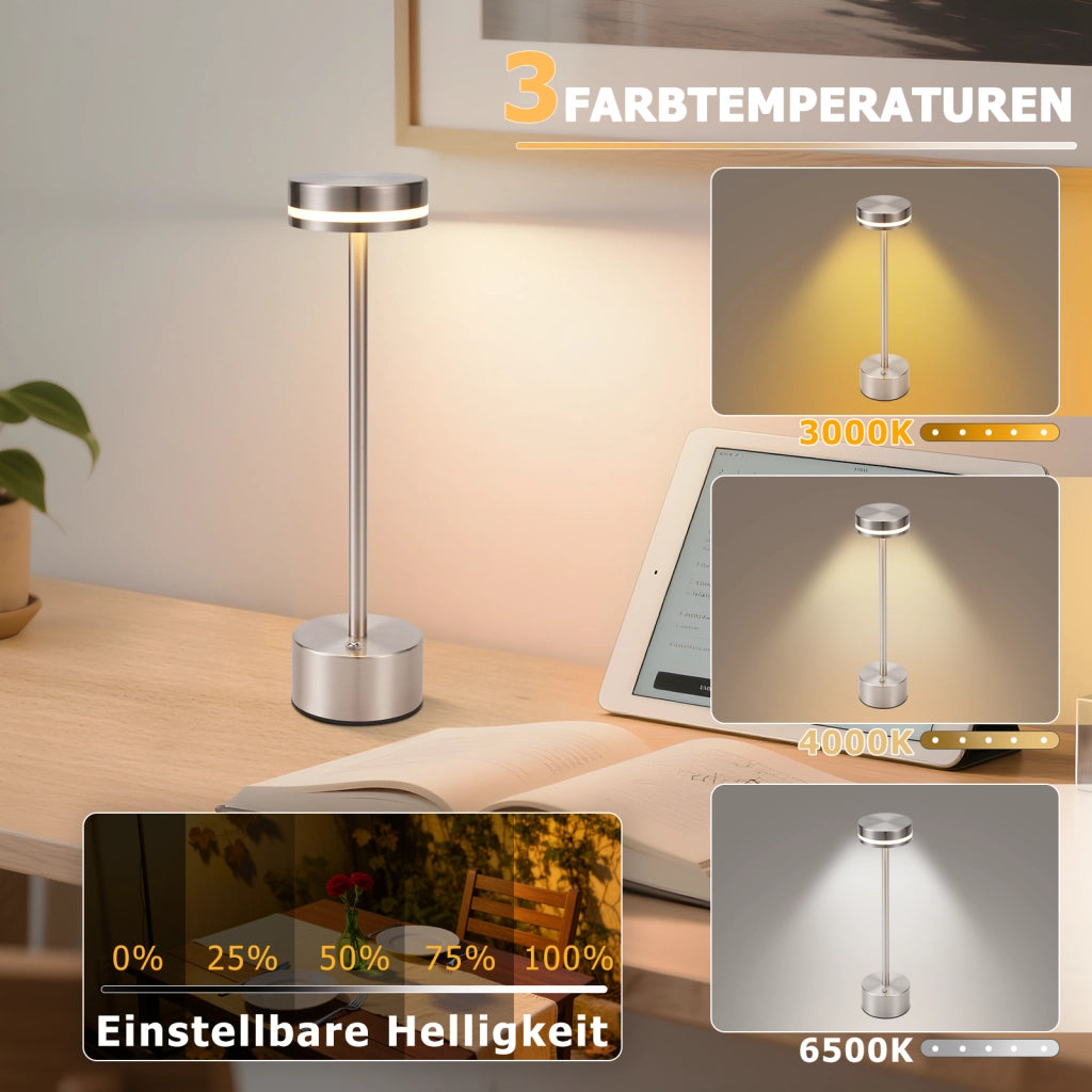ZMH Lampada da tavolo LED argento set 2 pezzi wireless batteria touch dimmerabile H32cm per comodino camera letto