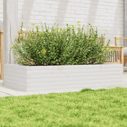 Fioriera da Giardino-Vaso da Esterno Bianca 110x60x23 cm Legno Massello Pino