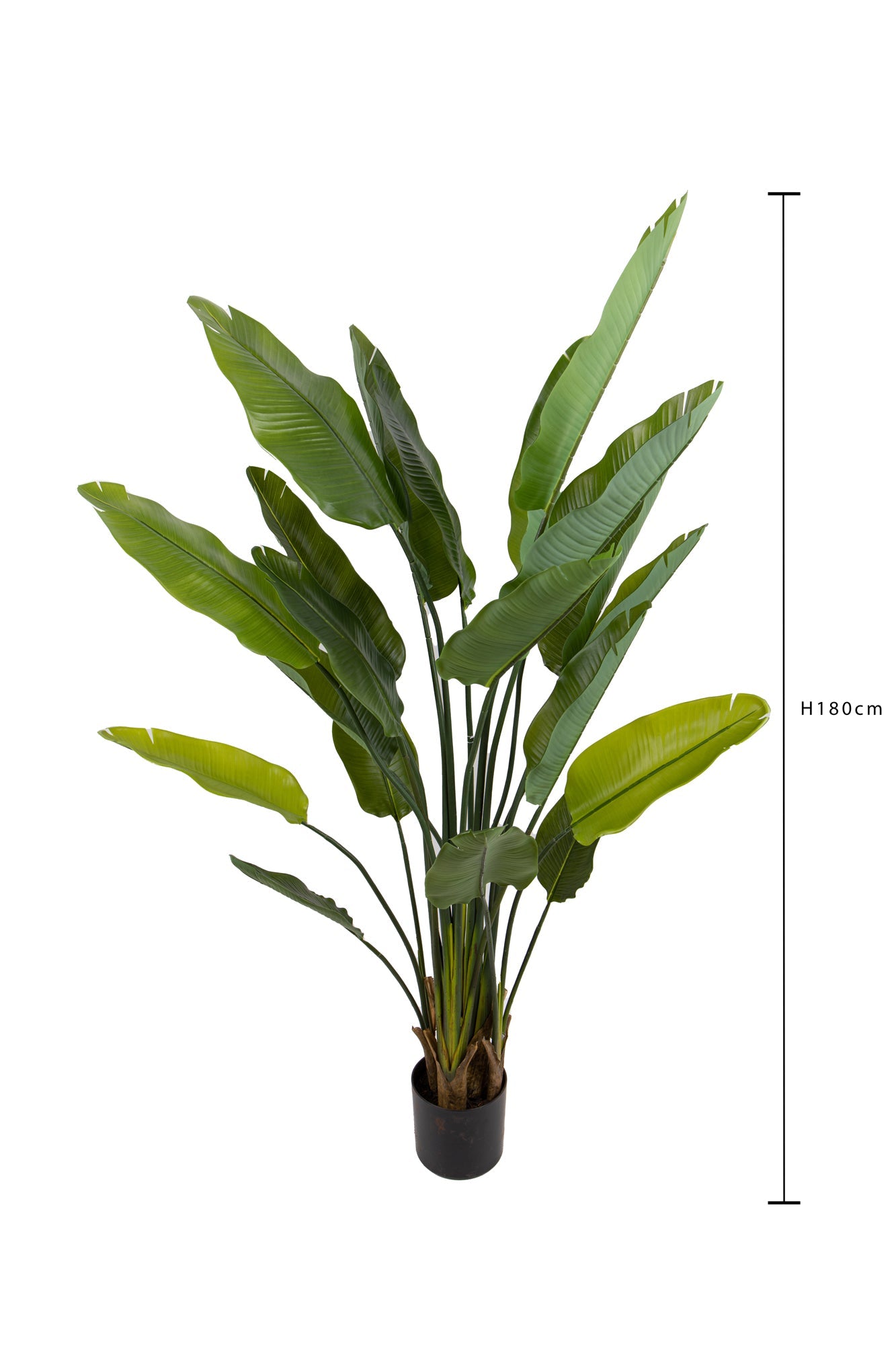 Pianta Artificiale Sterlizia con Vaso Composta da 20 Diramazioni Real Touch H 180 cm