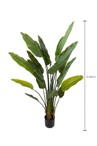 Pianta Artificiale Sterlizia con Vaso Composta da 20 Diramazioni Real Touch H 180 cm