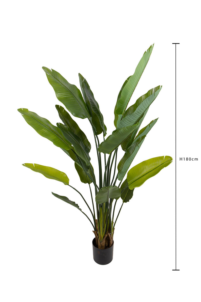 Pianta Artificiale Sterlizia con Vaso Composta da 20 Diramazioni Real Touch H 180 cm