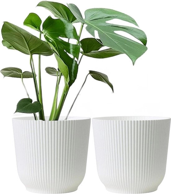 Sistema di contenitori per piante - Set di 2 contenitori per piante in plastica di 22 cm, bianchi, resistenti all'usura, per interni ed esterni, per giardino e casa, con finitura opaca.