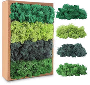 Materiale Decorativo Isolese - 200 g - Geconserveato - Materiale Decorativo per Fiori - Mos Naturale - Decorazione Creativa DIY - 4 Tinte Verde - Materiale Decorativo