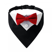 Collare per cani adattabile - Collare per cane - Fascia per cane - D-ring - Adatto per cani piccoli/medi/grandi - Regalo elegante