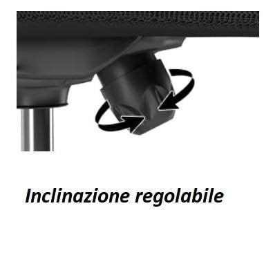 FENIXSHOP24 Sedia da Ufficio Ergonomica con Supporto Lombare, con Braccioli regolabili, Regolazione in Altezza, Poltrona girevole con ruote e rete traspirante – Nera - HLD-1809