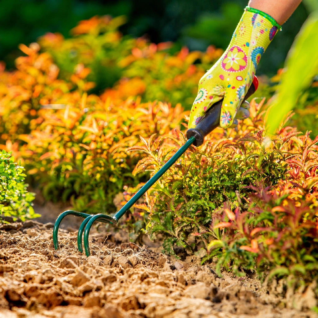 KADAX Coltivatore manuale per terreno, allentatore per giardino, 30 cm, artigli robusti, piccolo