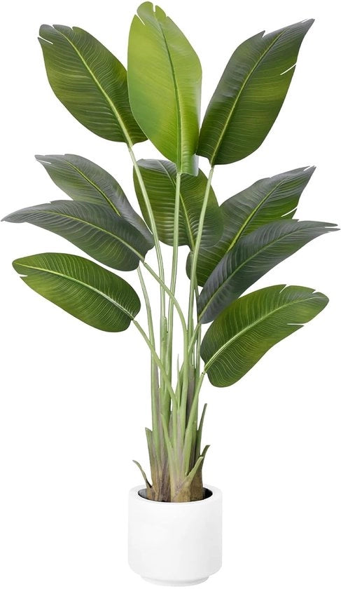 Pianta da Giardino Decorativa e Senza Manutenzione - 150 cm - Vaso Bianco