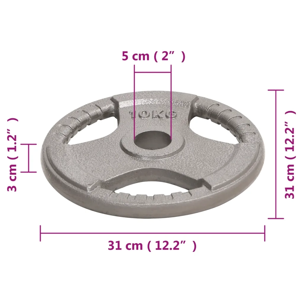Dischi Pesi Olimpici 2 pz 20 kg in Ghisa 93616