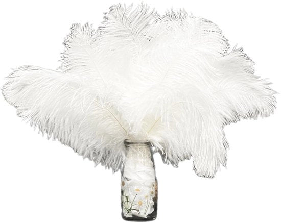 Set di piume naturali da 12 pezzi - Dimensioni 25-30 cm - Materiale soffice e leggero - Resistente alle graffi e alla sporcizia - Ideale per la decorazione e il fai da te - Piume