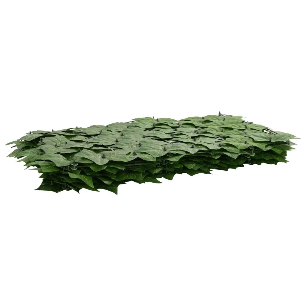 Schermo per balcone con foglie Verde 600 x 75 cm