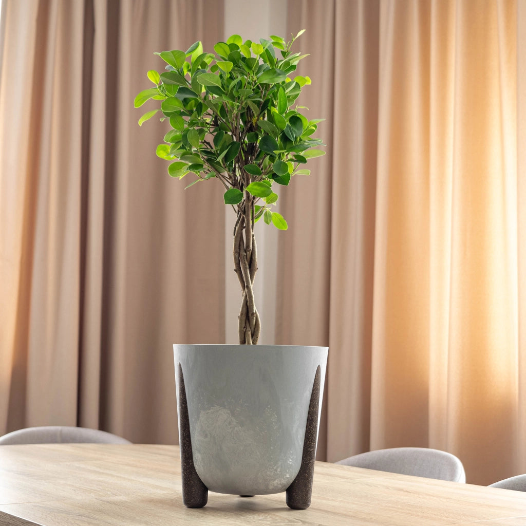 Vaso da fiori KADAX, coprivaso, supporto per fiori, grigio, 21 cm