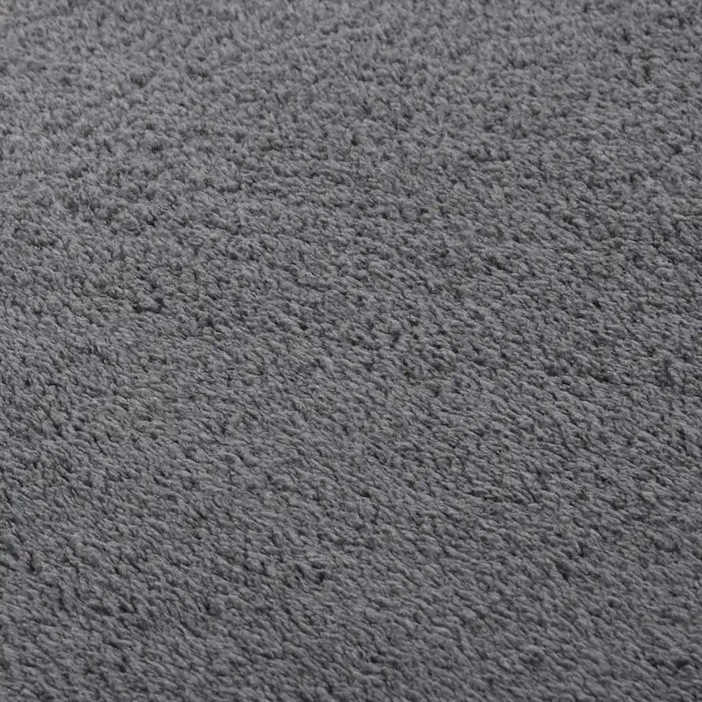 Tappeto Soffice Pelo Corto 160x230 cm Antiscivolo Antracite 342190