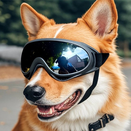 Sole protettive per animali domestici, occhiali acqua resistente per cani, sole protettive per Golden Retrievers e Samojedi, occhiali da sole grandi per cani (ad esempio per sciare)