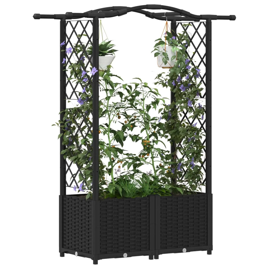 Letto Rialzato con Griglia e Tetto Nero 125 x 40 x 138 cm PP 42032530