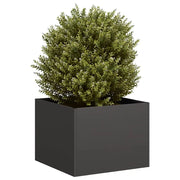 Fioriera Nera 40x40x30 cm in Acciaio 860794