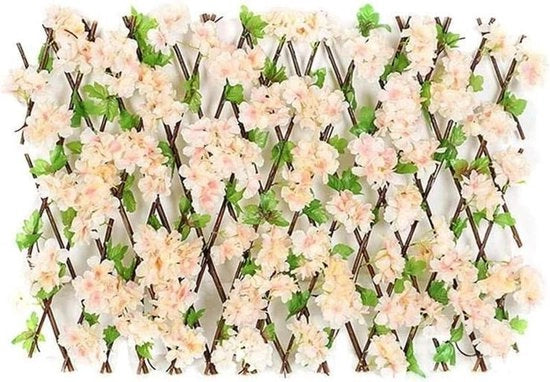 Hedge di klimatizzata con protezione UV per decorazione di parete e privacy - fioritura di ciliegi champagne