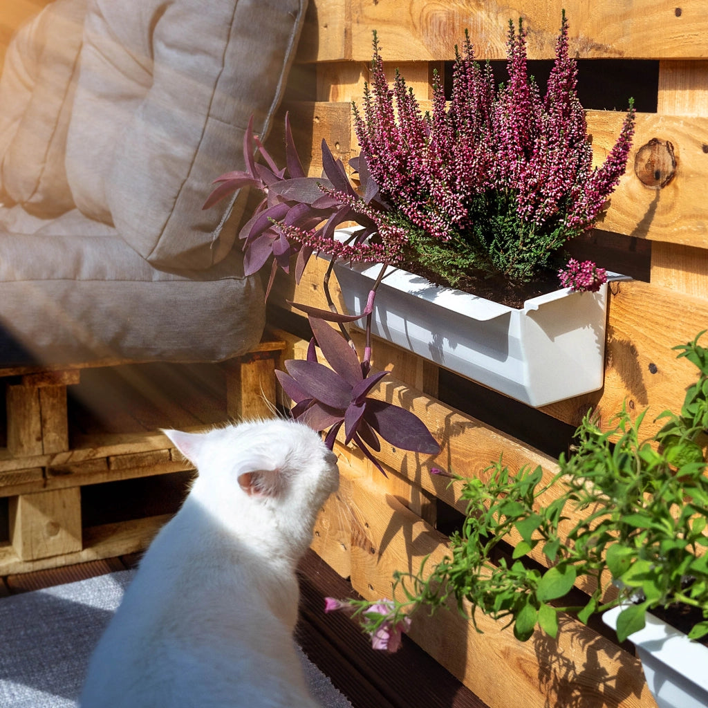 Vaso da fiori KADAX, vasi per Europallets, scatola da 40 cm, 12 pezzi