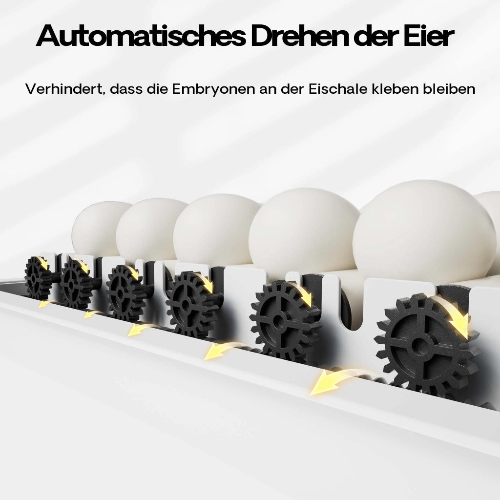 Fudajo Incubatrice per uova automatica, incubazione per 36 uova, 45 W con sistema di rotazione, controllo della temperatura e regolazione dell'umidità, allevamento pulcini