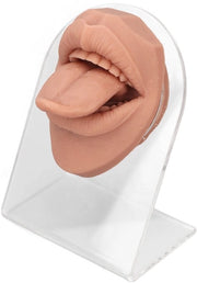 Modello di bocca in silicone - Modellante multifunzionale - Standard di acrilico - Prodotto educativo - Disegno di simulazione robusto