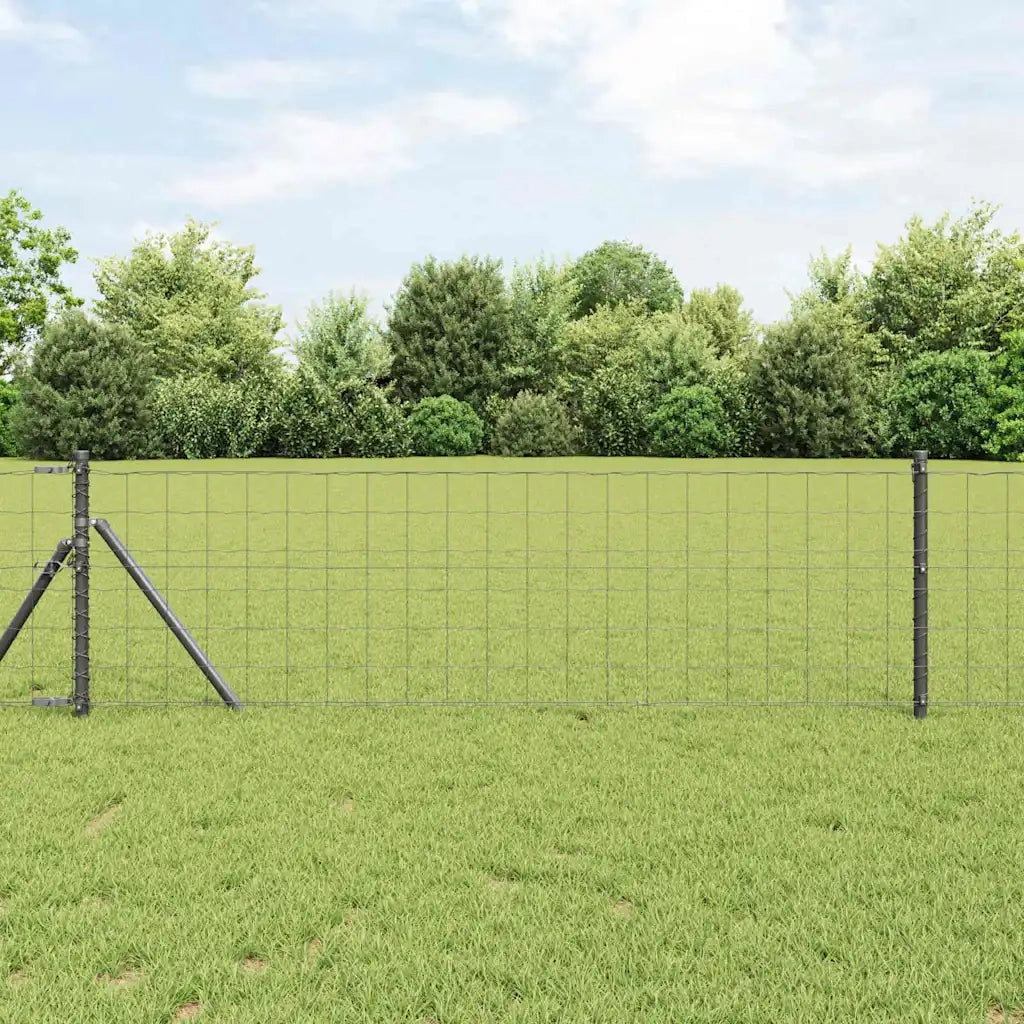 Recinzione Euro Grigio 0,6 x 10 m Ferro rivestito in PVC 42004507