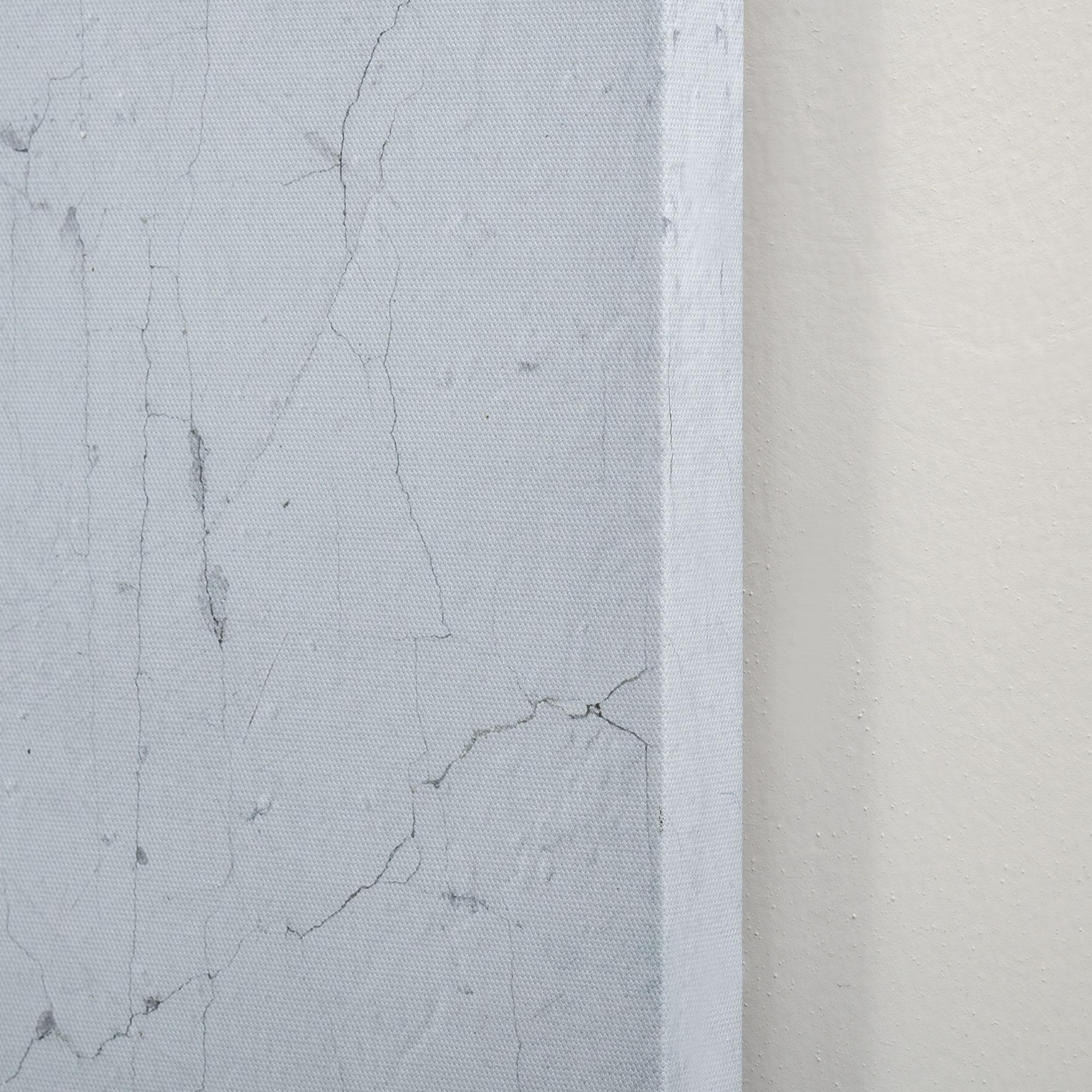 Stampa su Tela Mondo 120x90 cm in Legno di Pino Grigio e Bianco