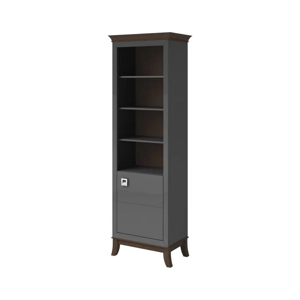 Vetrina 1 porta bassa collezione PALACE. Colori grigio e rovere scuro.