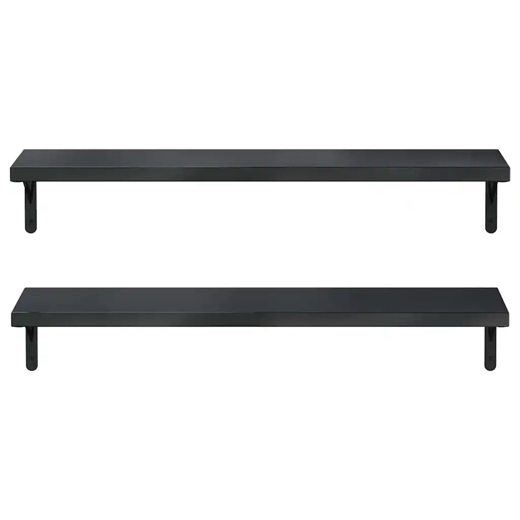 Mensole a Muro 2 pz 100x23,5 cm Nero in Acciaio Inossidabile
