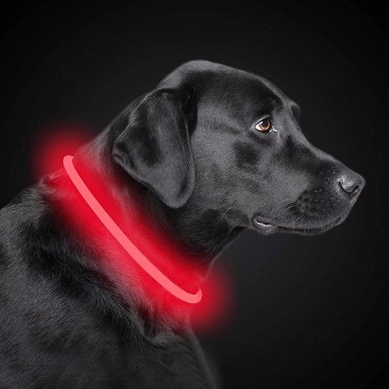 Cinturino di sicurezza per cani