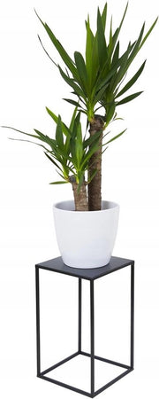 Supporto quadrato per fiori in metallo nero 40 cm - sedile per fiori in metallo

Specifiche tecniche: 
- Materiale: metallo
- Altezza: 40 cm
- Modello: 
- Codice prodotto: