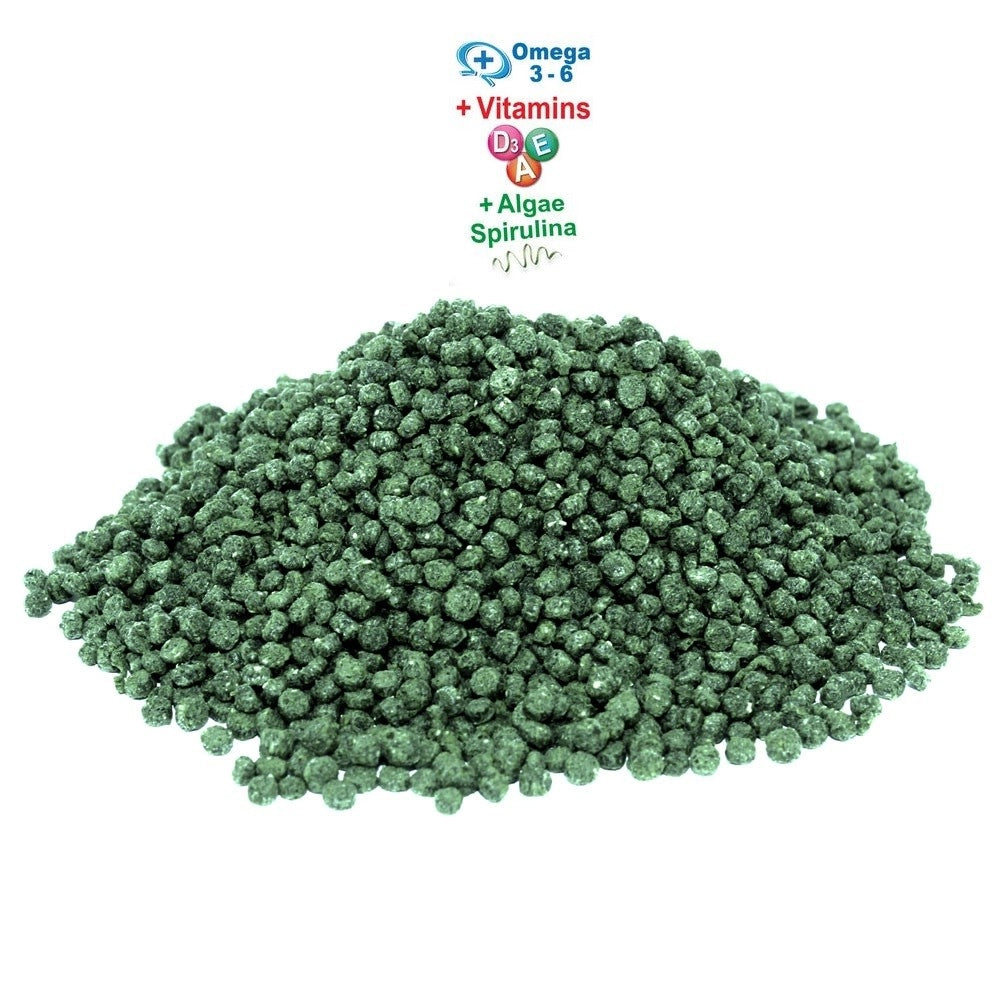 Prodac Coldwater Granules Veggie 250ml/125gr - mangime in granuli con Spirulina per pesci d'acqua fredda