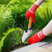 Mini-sciampino per piante con marcatura profonda, cucchiaio in acciaio inox per piante e rinnovo vaso, manico in legno, piccola zappa per giardino