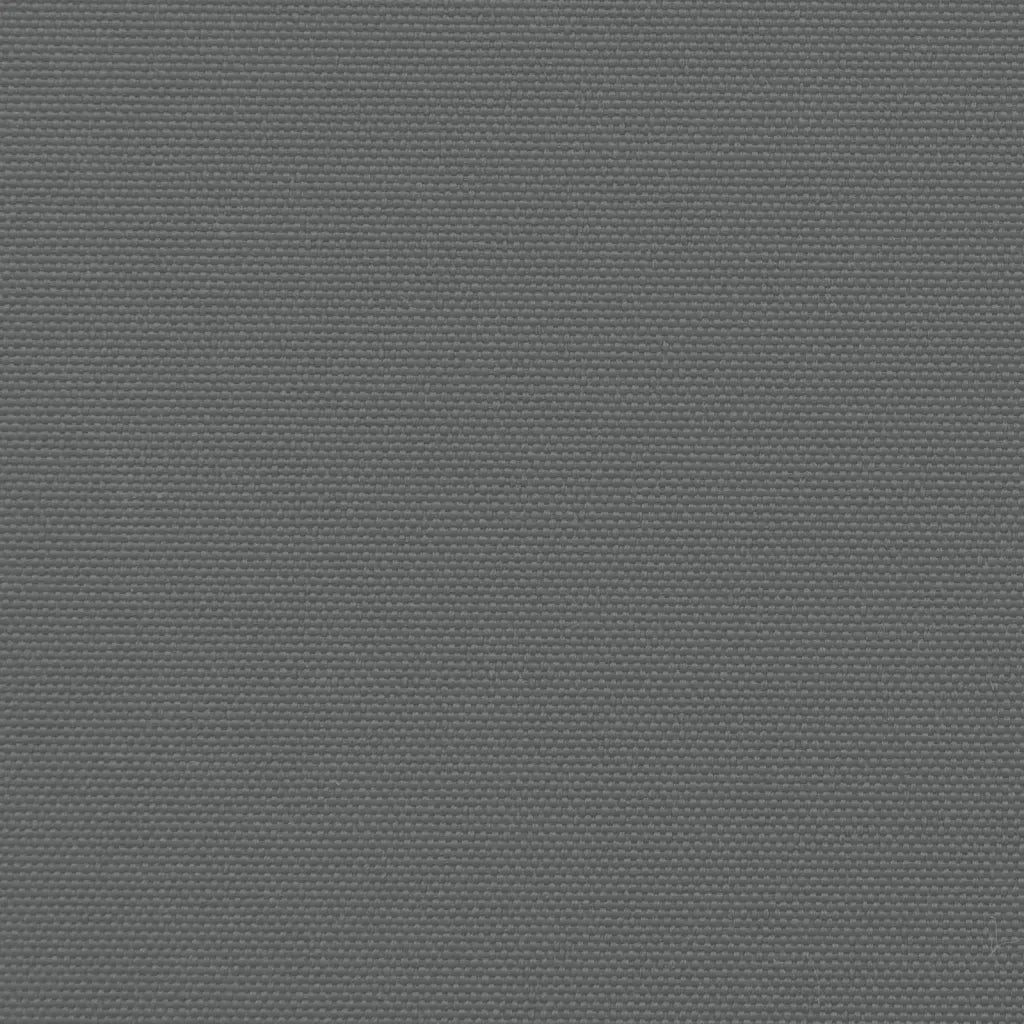 Tenda da Sole Laterale Retrattile Antracite 180x1200 cm 4004838