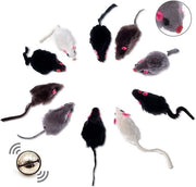 Set di 10 pezzi - campanello e nepeta - senza plastica - per tutte le razze di gatto