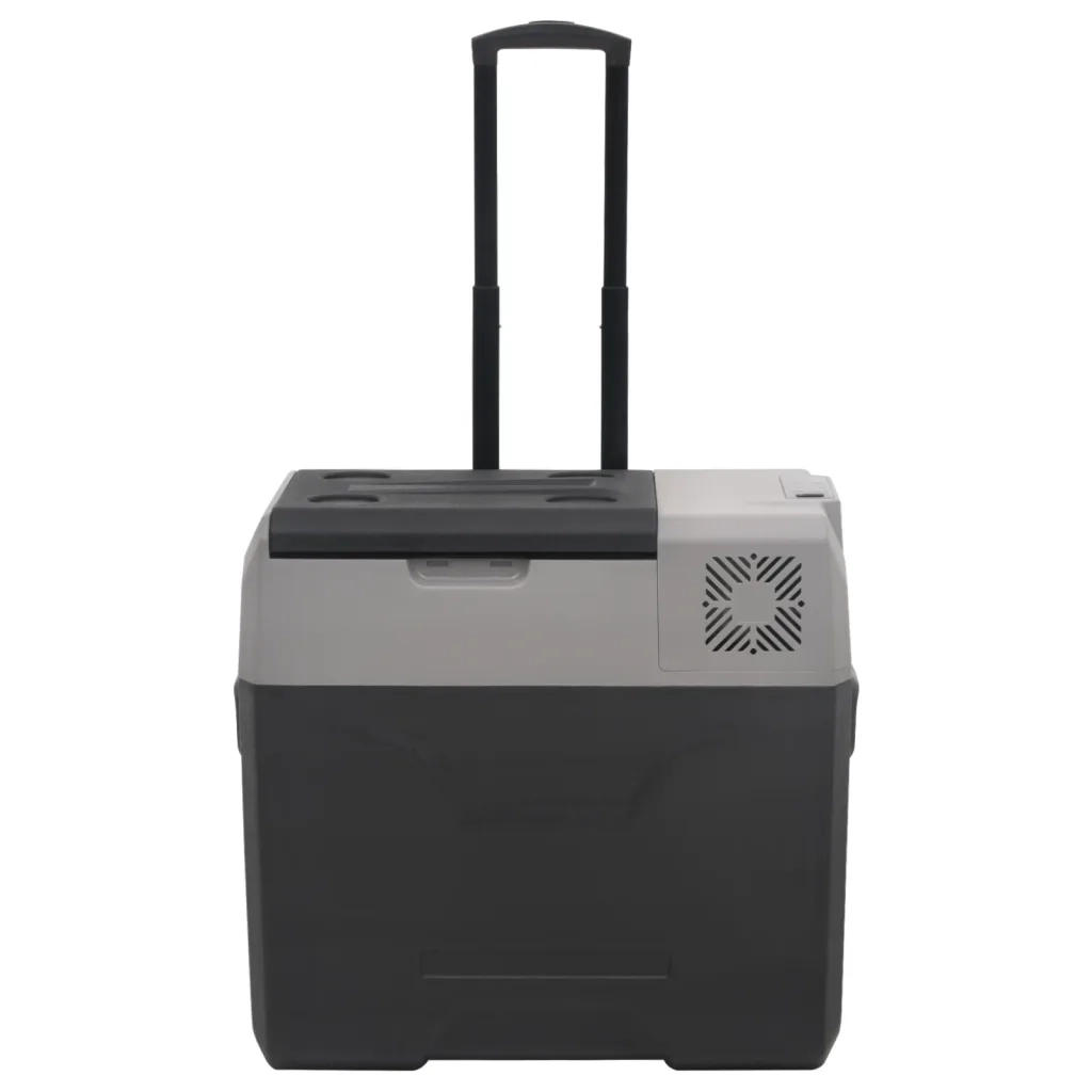 Borsa Frigo con Ruote Adattatore Nera Grigia 40 L Polipropilene CFW9714882