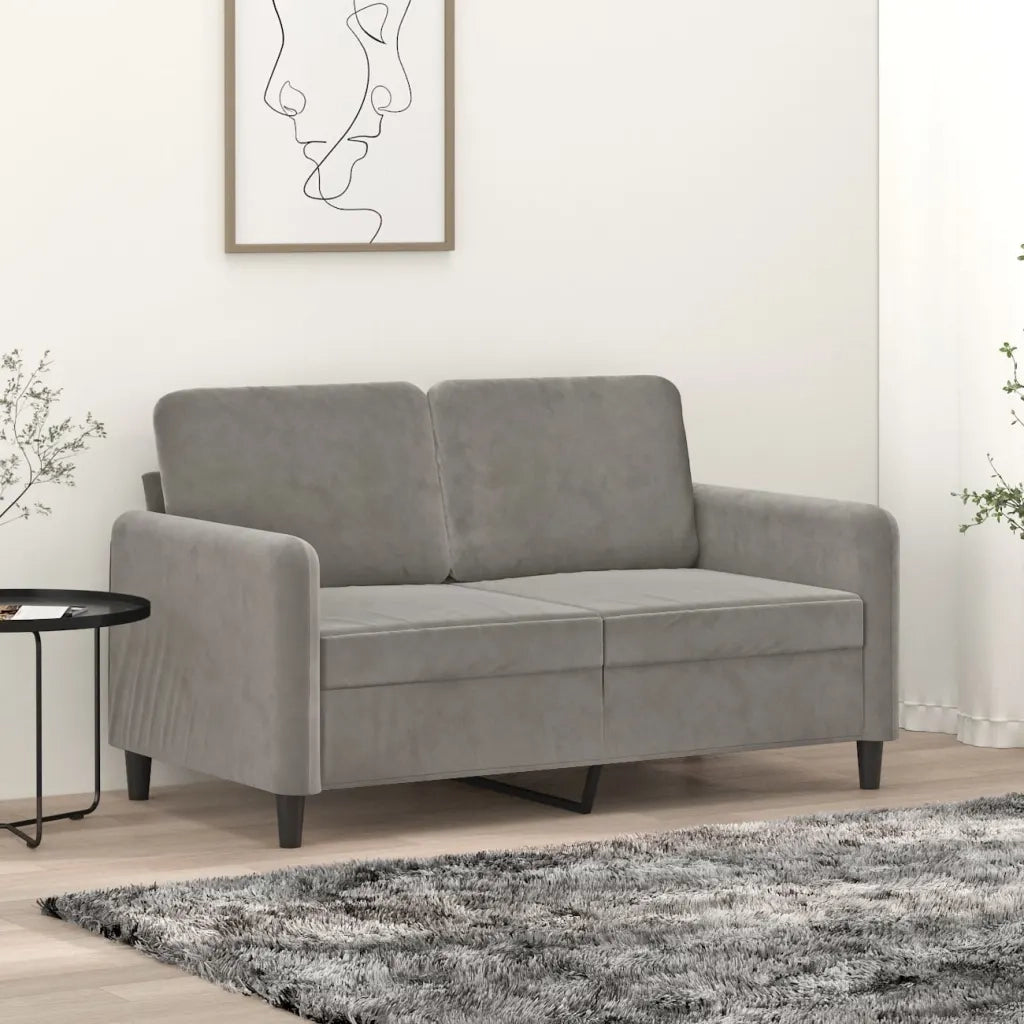 Divano a 2 Posti Grigio Chiaro 120 cm in Velluto 349033