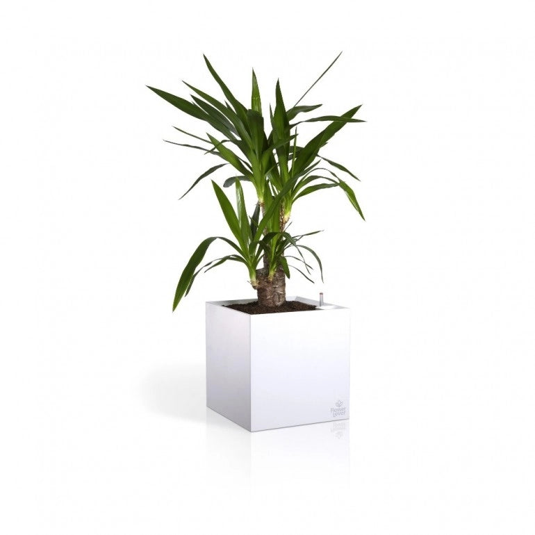 Vaso CUBICO 9x9x9 cm, con sistema di auto-irrigazione