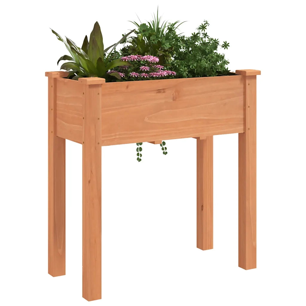 Fioriera | Cassetta per fiori | Vaso con Fodera Marrone 71x37x76 cm Legno Massello di Abete