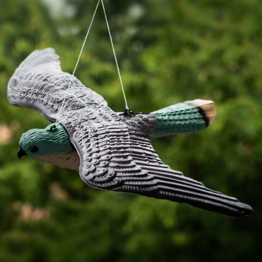 KADAX Kestrel Repellente per uccelli Piccioni Grandi storni Uccelli in volo sul balcone