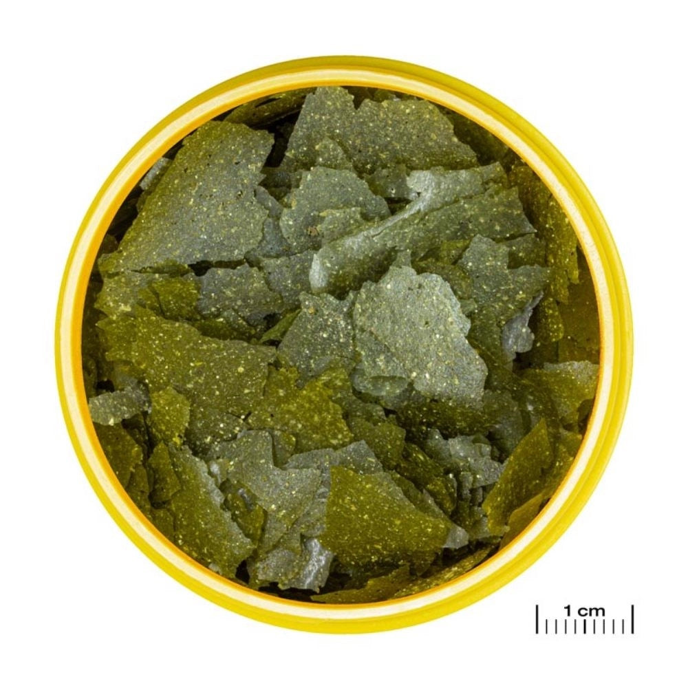 JBL ProNovo Spirulina Flakes M - Mangime in fiocchi a base di spirulina per tutti i pesci da 8 a 20 cm Formato: 250 ml