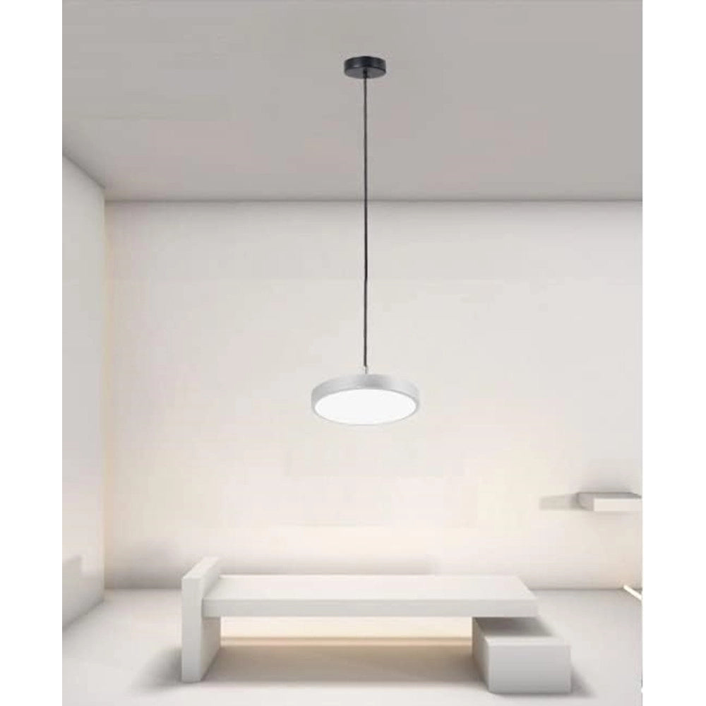 Trade Shop - Lampadario A Sospensione Led 40w Argento Cerchio Tondo Moderno Minimal Luce 6500k 32941 -