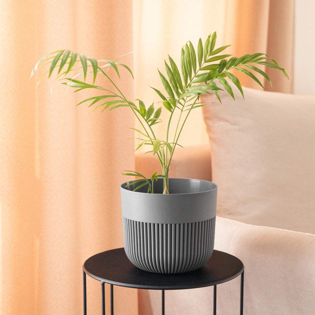 Vaso da fiori KADAX, Coprivaso, 11 cm, Plastica, Rotondo, A coste, Grigio